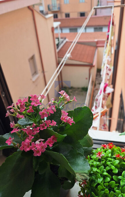 CCR_6